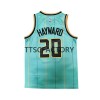Maillot Homme Charlotte Hornets Gordon Hayward 20 Jordan 2021-22 City Edition Green Swingman
